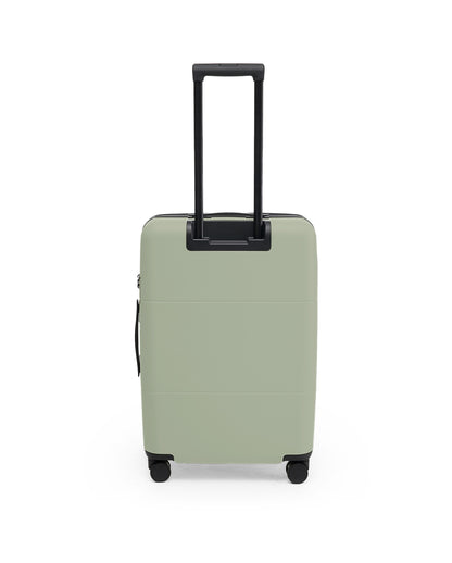 Check-In Medium	in Olive